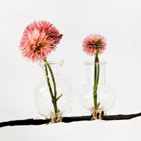 Vase Clip On Set/2 Test Tube Clear 