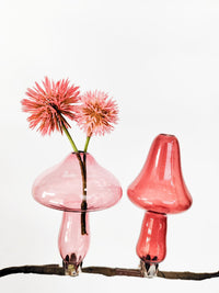 Vase Clip On S/2 Toadstool Pink 