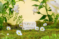 WAVERTREE & LONDON SOAP DAISY & LILY