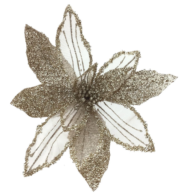 POINSETTIA CHAMPAGNE 28CM