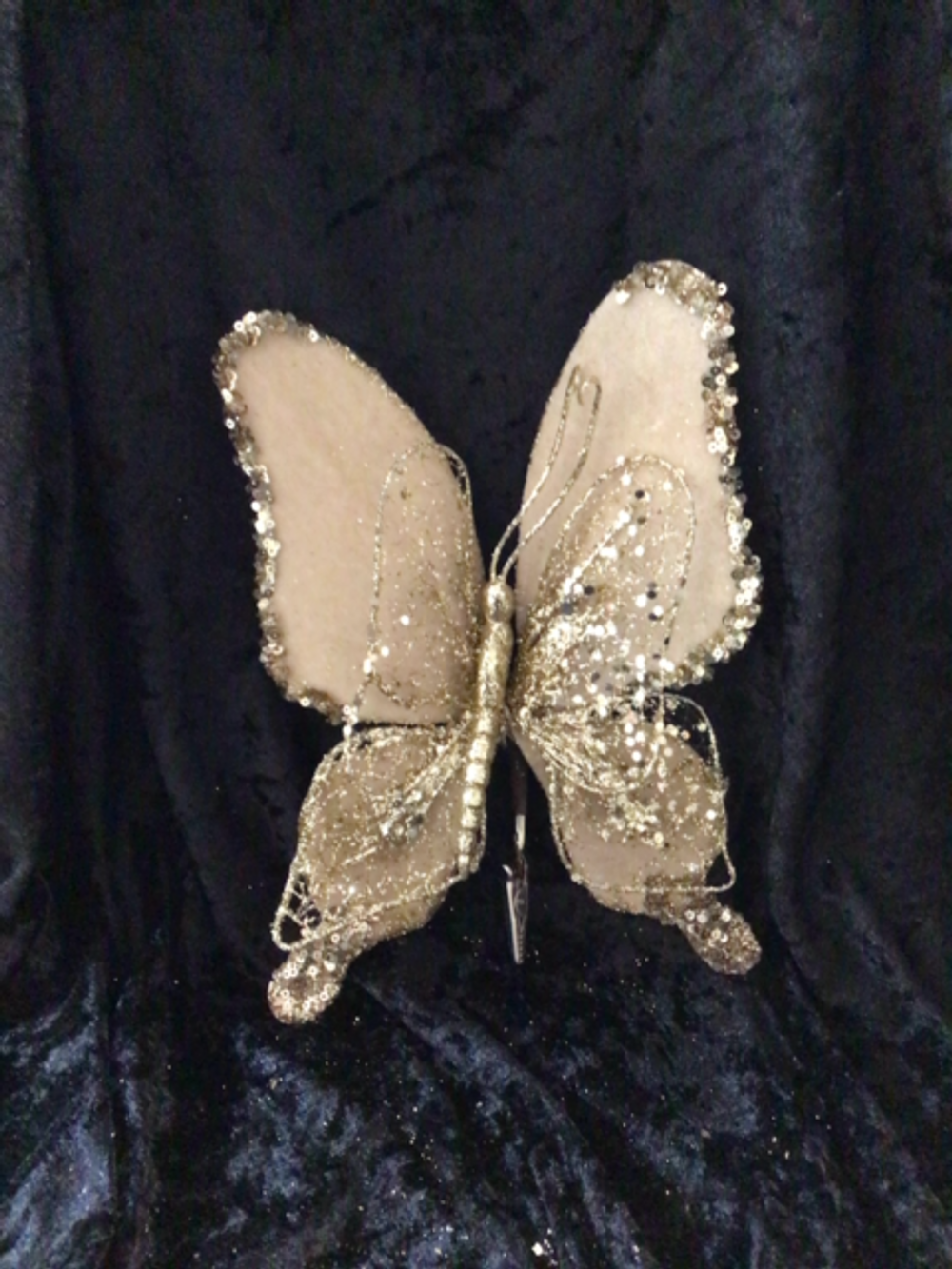 BUTTERFLY CHAMPAGNE DOUBLE WING